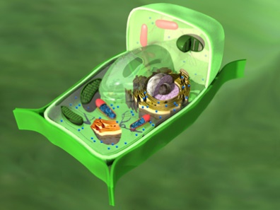 Лабораторія біоматеріалів